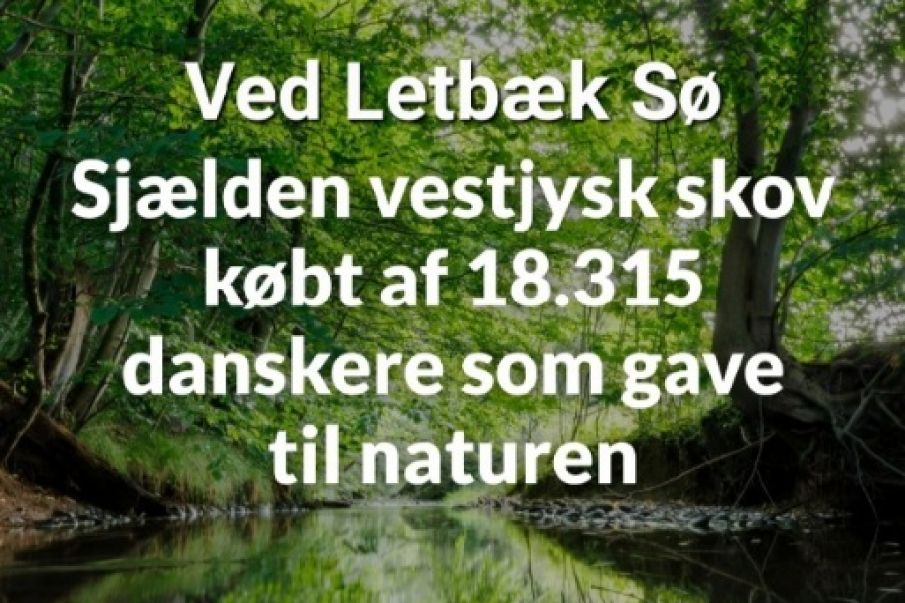 Ved Letbæk Sø har Den Danske Naturfond har købt den 50 hektar store skov