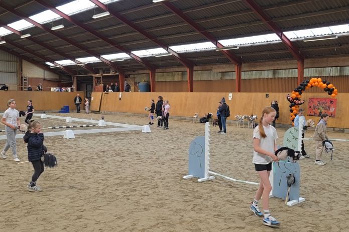 Indslag. Kæpheste-stævne og fællesskab i Ølgod og Omegns Rideklub!