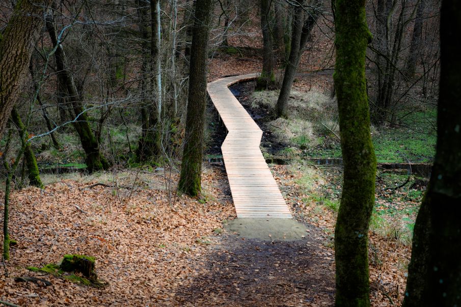 Oplev Naturen ved Kraruplund og Letbæk Sø.